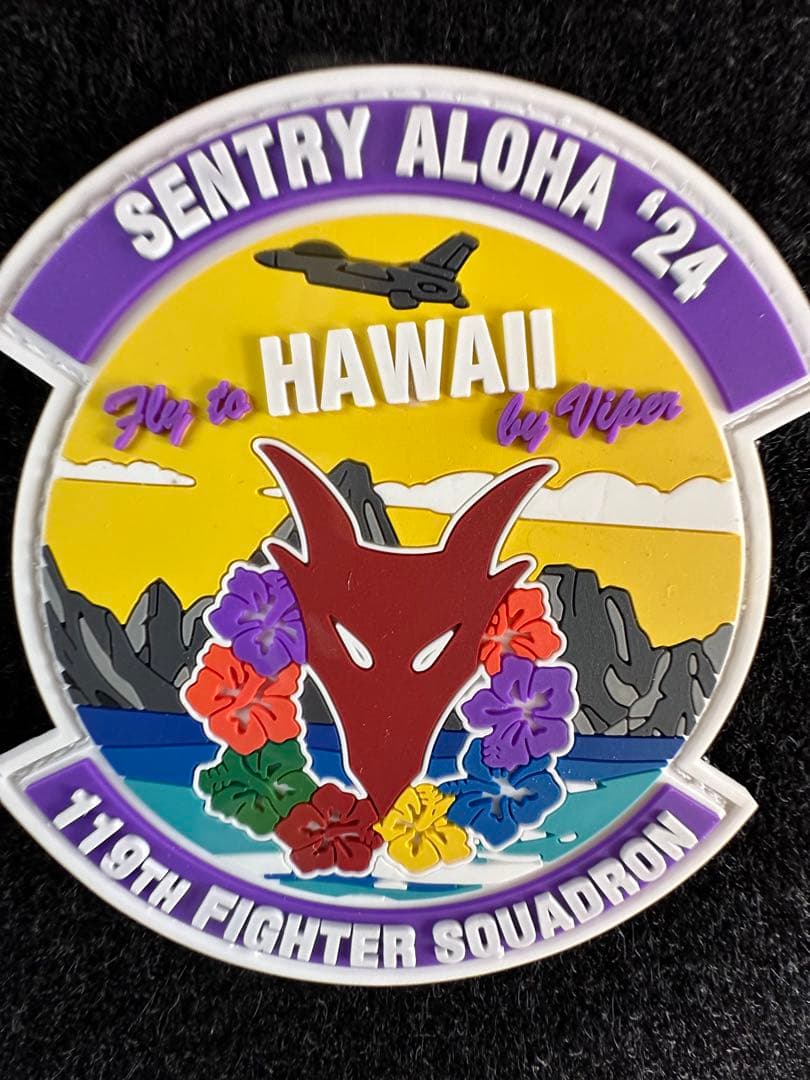 USAF 119th Fighter Squadron パッチ