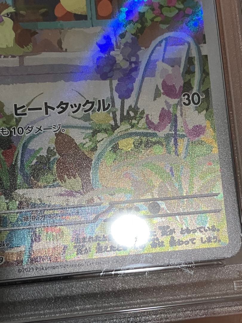 【PSA 3連番】スペシャルデッキセットex フシギダネ　ヒトカゲ　ゼニガメ
