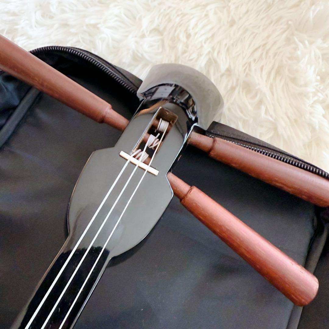 ✨美品 ✨沖縄三線 蛇柄 弦楽器 琉球 黒塗り 初心者 入門モデル