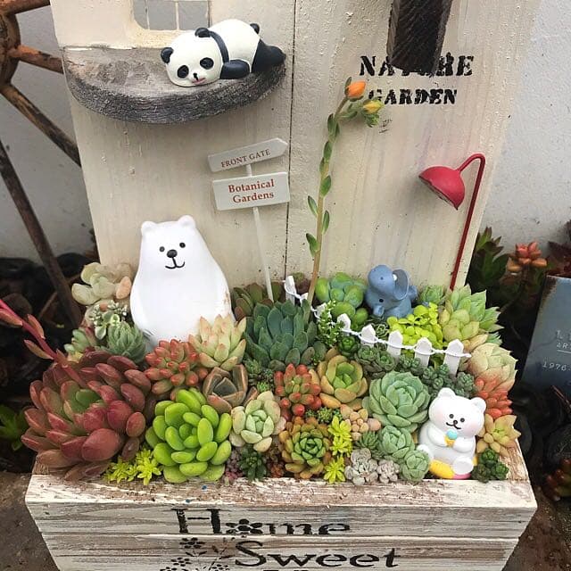 ★多肉植物　寄せ植え〜木製HOUSE 大　多肉動物園〜★