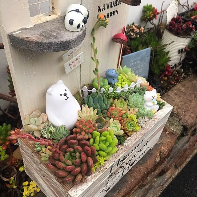 ★多肉植物　寄せ植え〜木製HOUSE 大　多肉動物園〜★