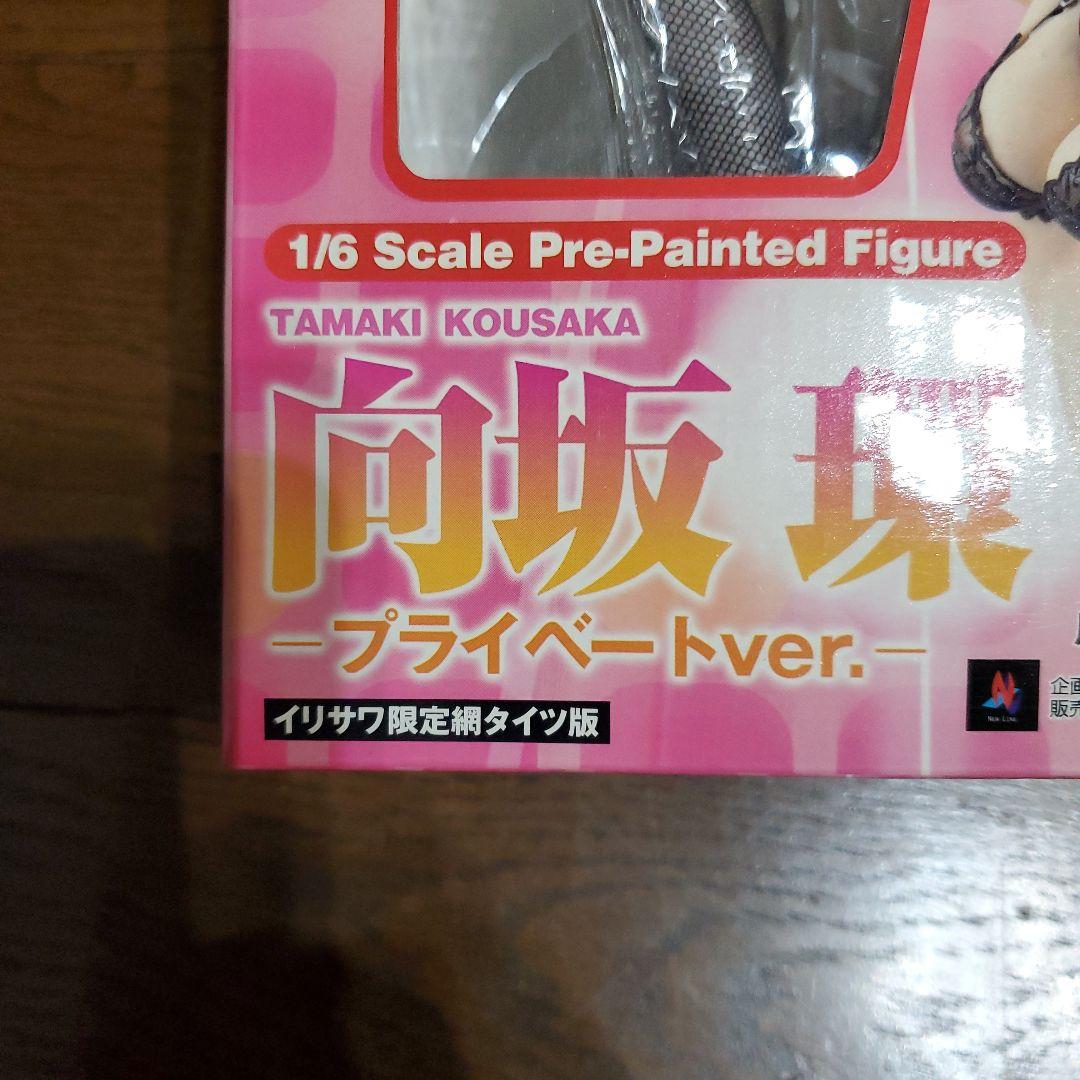 向坂 環 1/6スケール プライベートver. イワサワ限定網タイツ版
