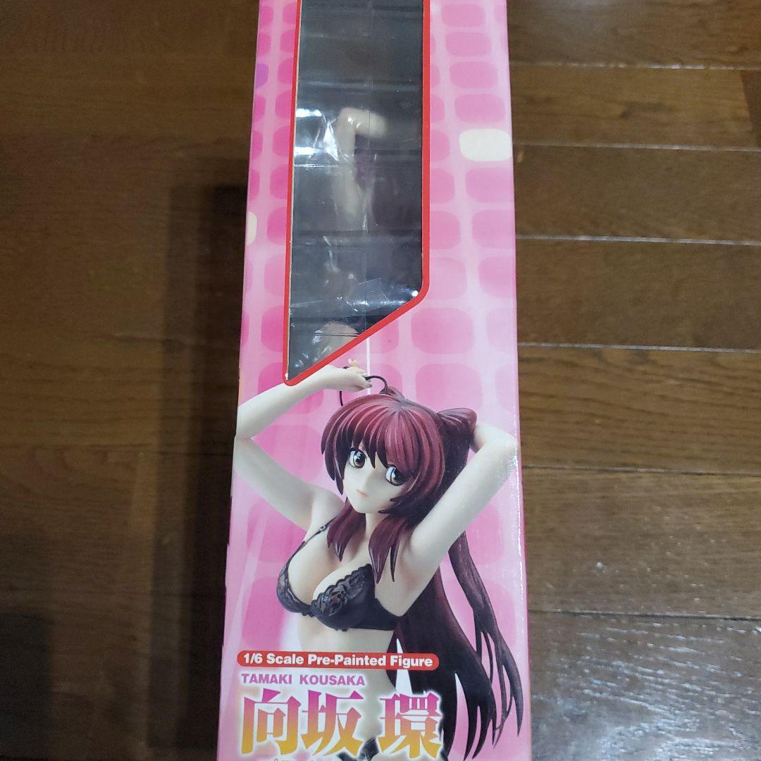 向坂 環 1/6スケール プライベートver. イワサワ限定網タイツ版