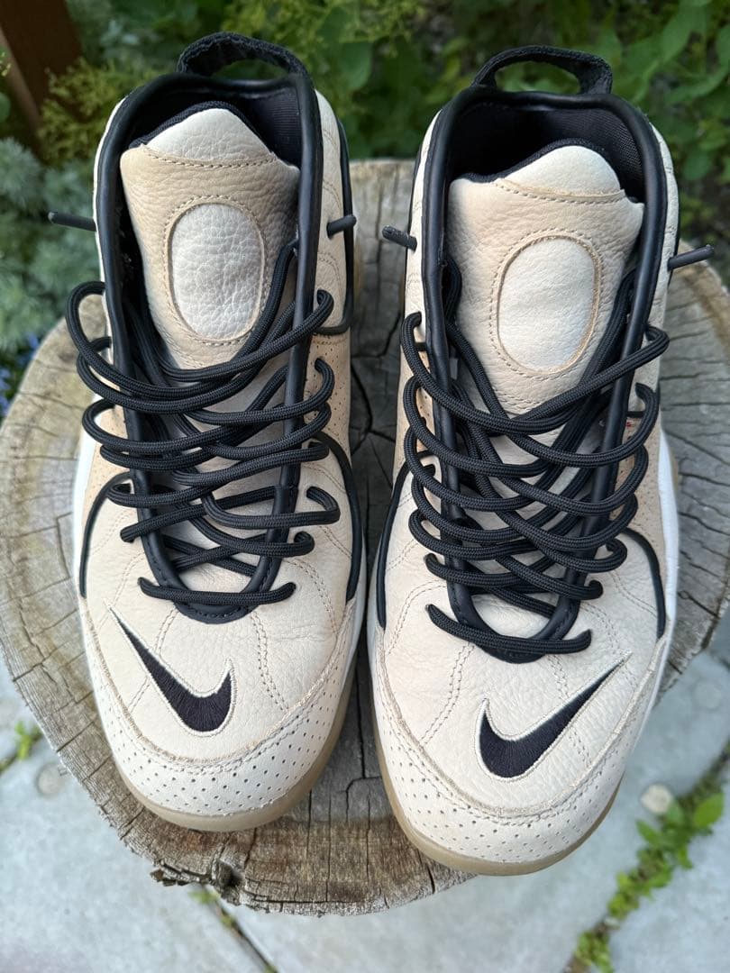 Nike ズームフライト95 27.5cm