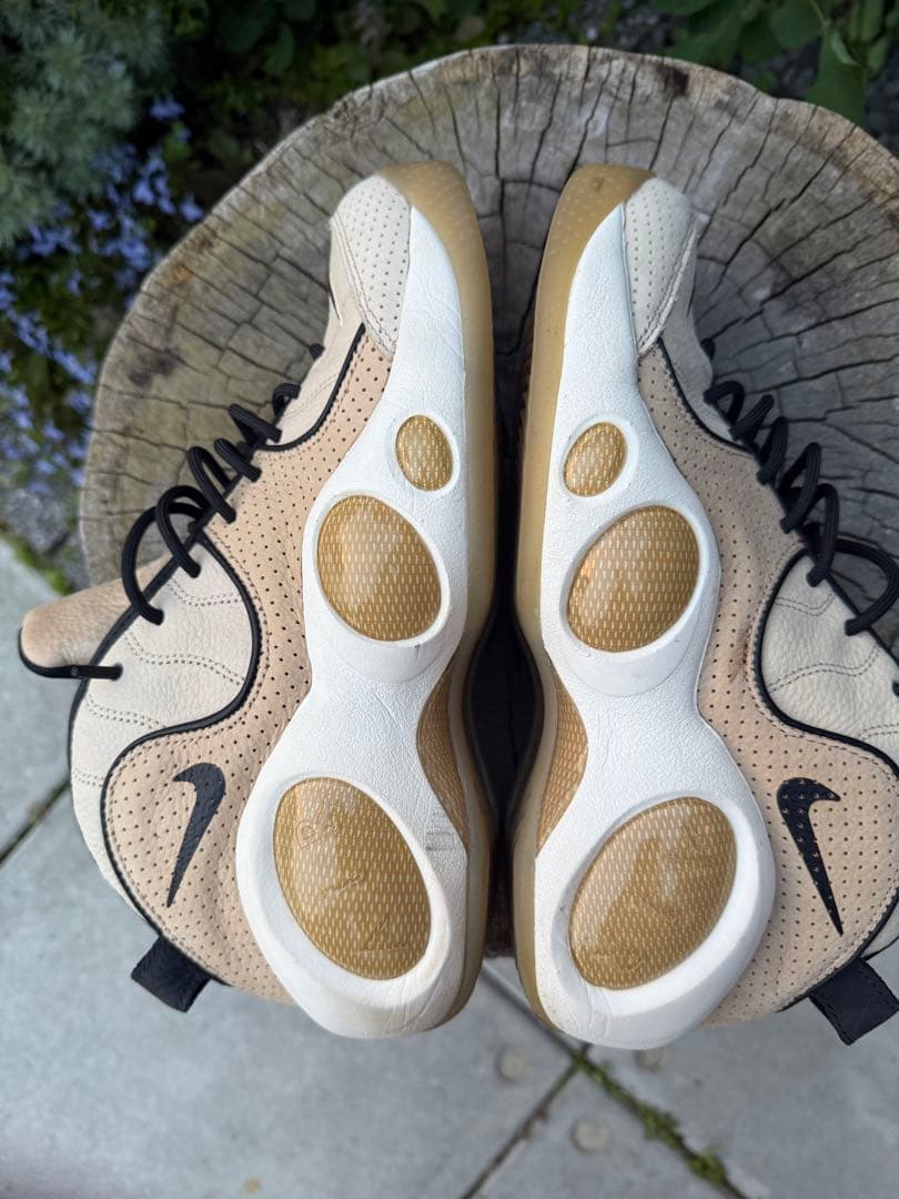 Nike ズームフライト95 27.5cm
