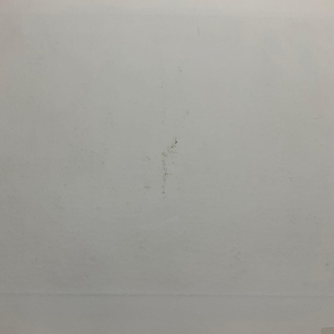 絵画・額縁・版画・織田義郎・新品未使用・銅版画+手彩色・美術品・インテリア・雑貨