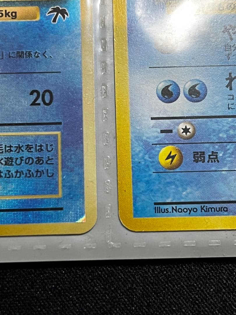 【旧裏】サザンアイランド　トロピカルアイランド〜海辺〜　ポケモンカード