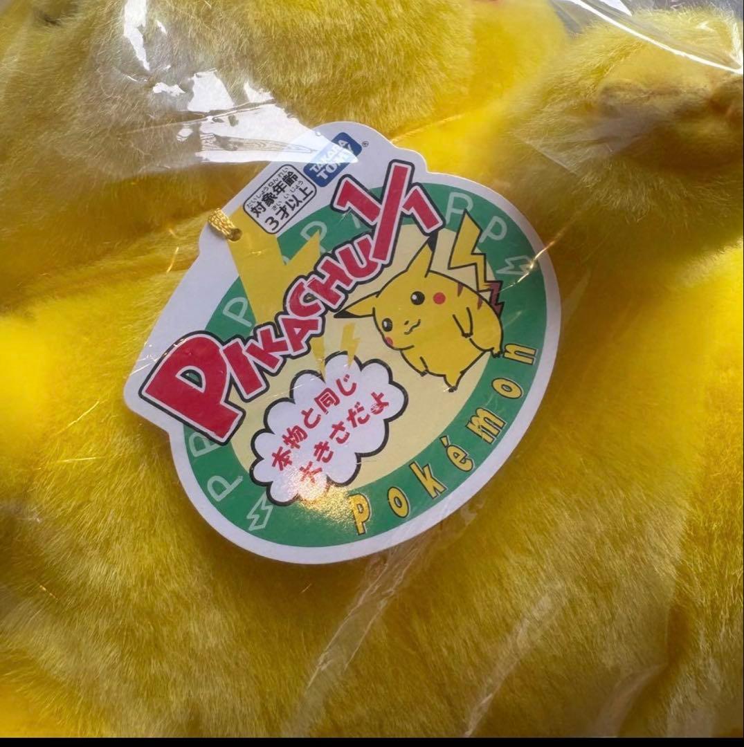 ポケモン 30周年記念 おかえり!ピカチュウ1/1