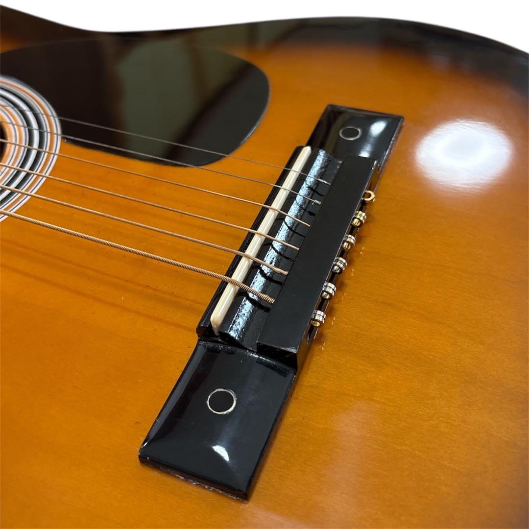 SepiaCrue W-50/TS アコースティックギター 音出し確認済み
