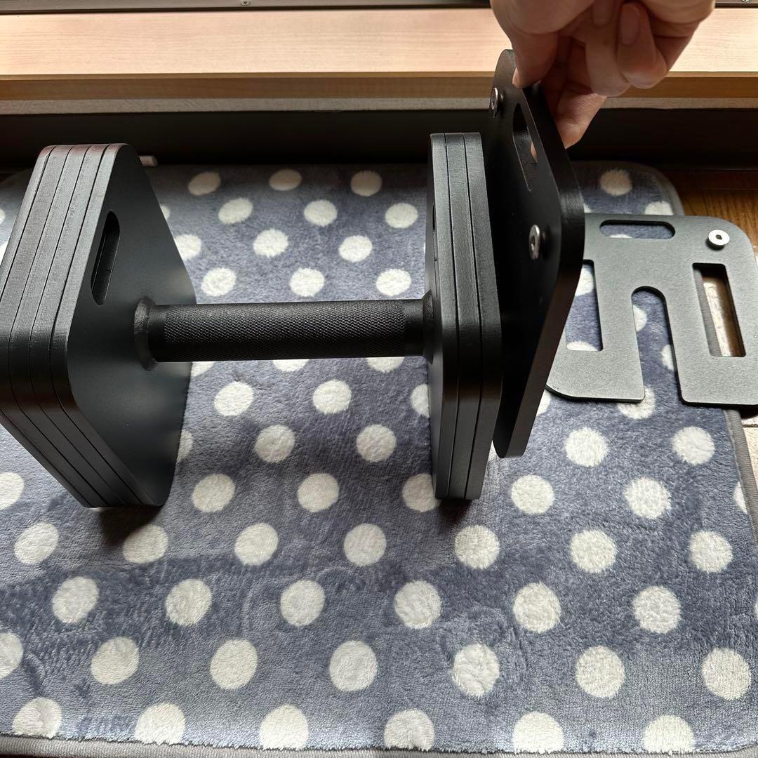 ブランドEisenlink　20kg×1(通常版)