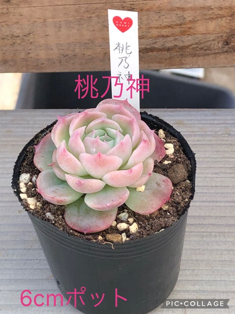 ♡専用出品♡