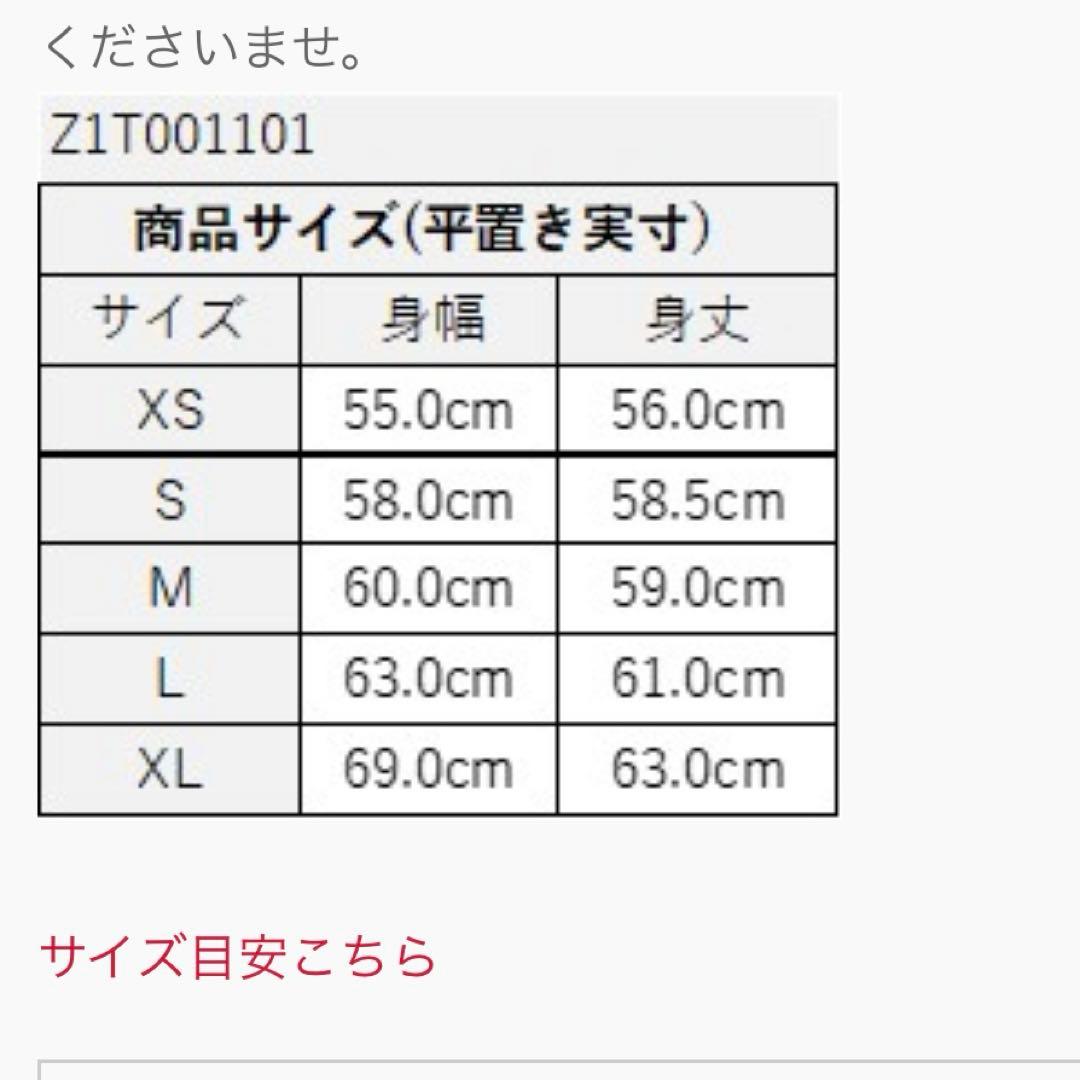 ズンバ　Tシャツ　正規品　S