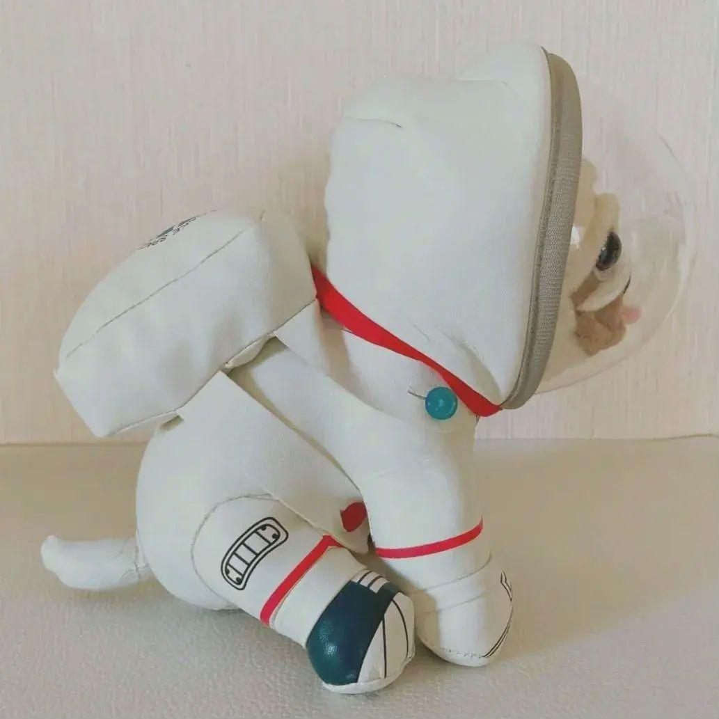 宇宙兄弟 アポ ぬいぐるみ、2wayクッションネックピロー、ポーチ☆4点セット