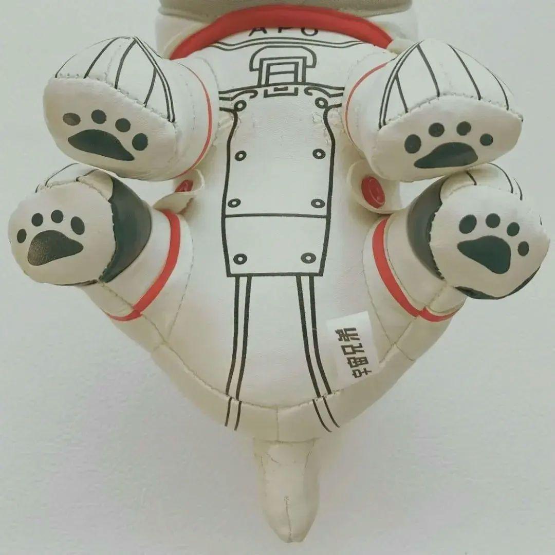 宇宙兄弟 アポ ぬいぐるみ、2wayクッションネックピロー、ポーチ☆4点セット