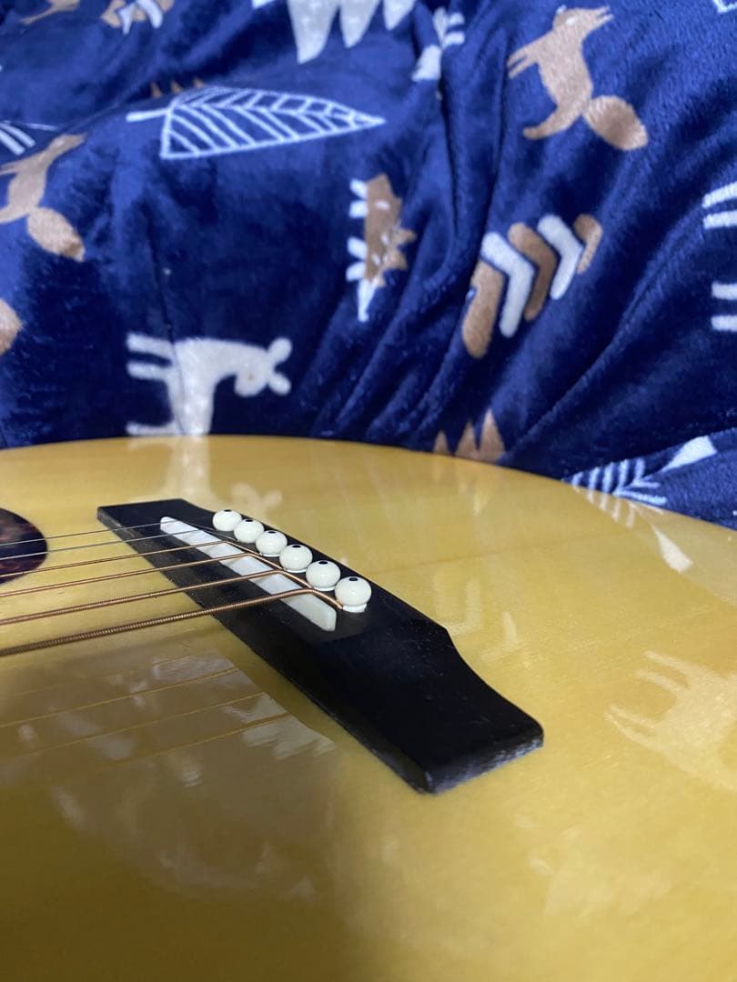RECORDING KING RO-G6 新品 Martin OOOタイプ