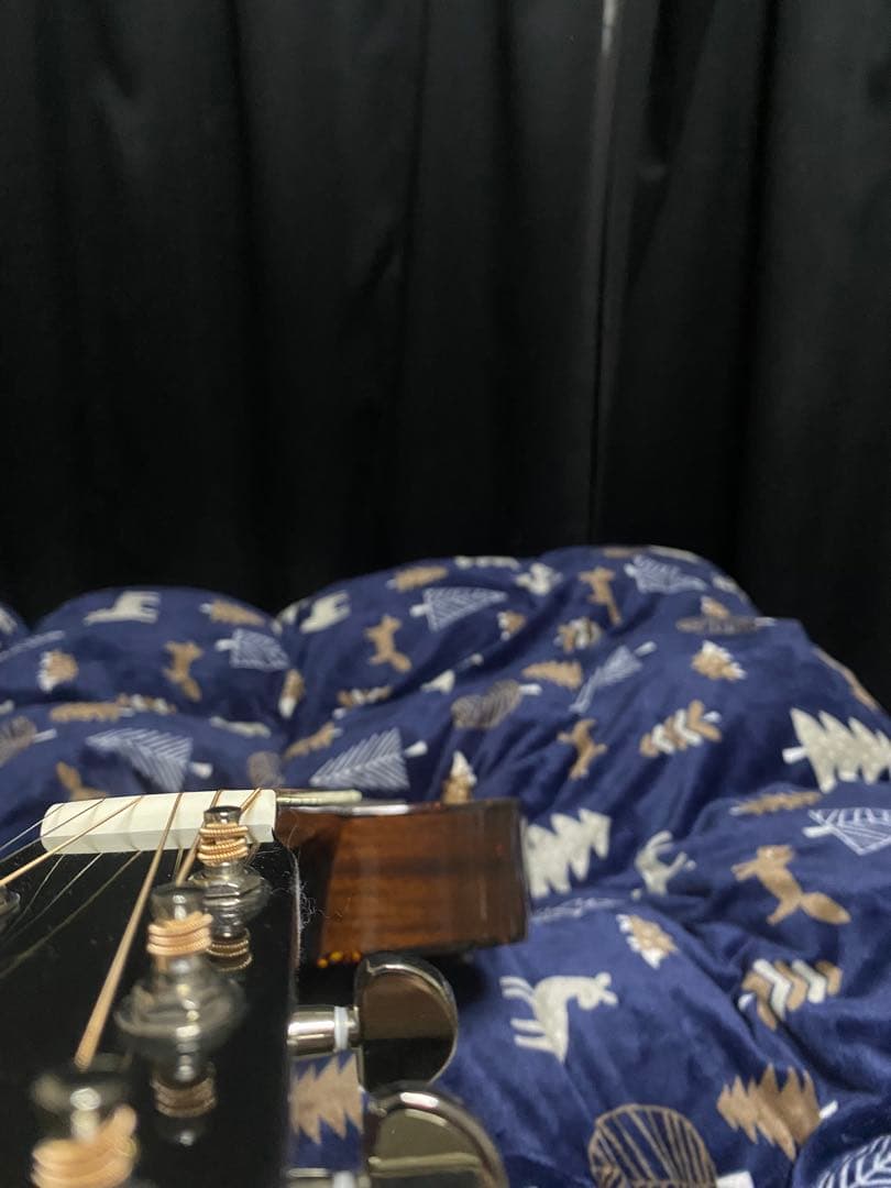 RECORDING KING RO-G6 新品 Martin OOOタイプ
