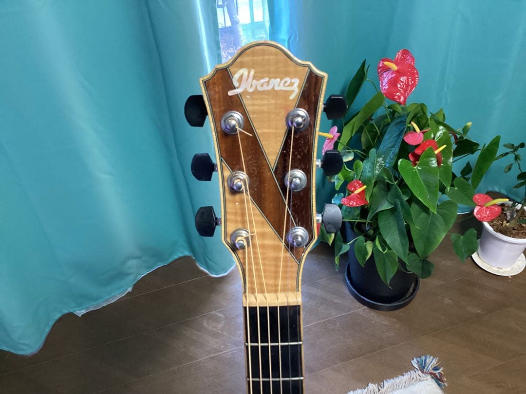 Ibanez アコースティックギター AEW15限定モデル
