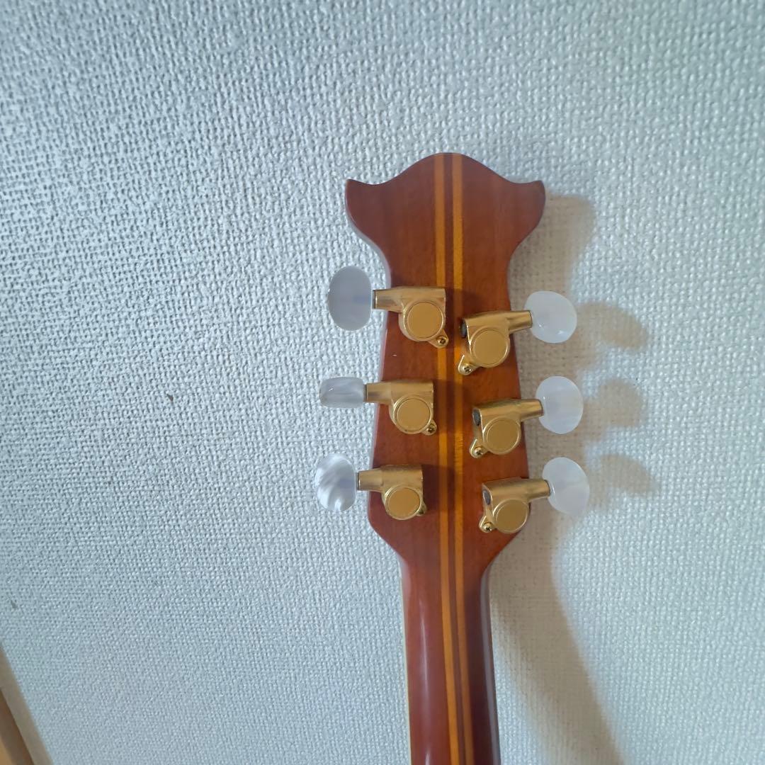 Tornado アコースティックギター 青 ギターケース付き