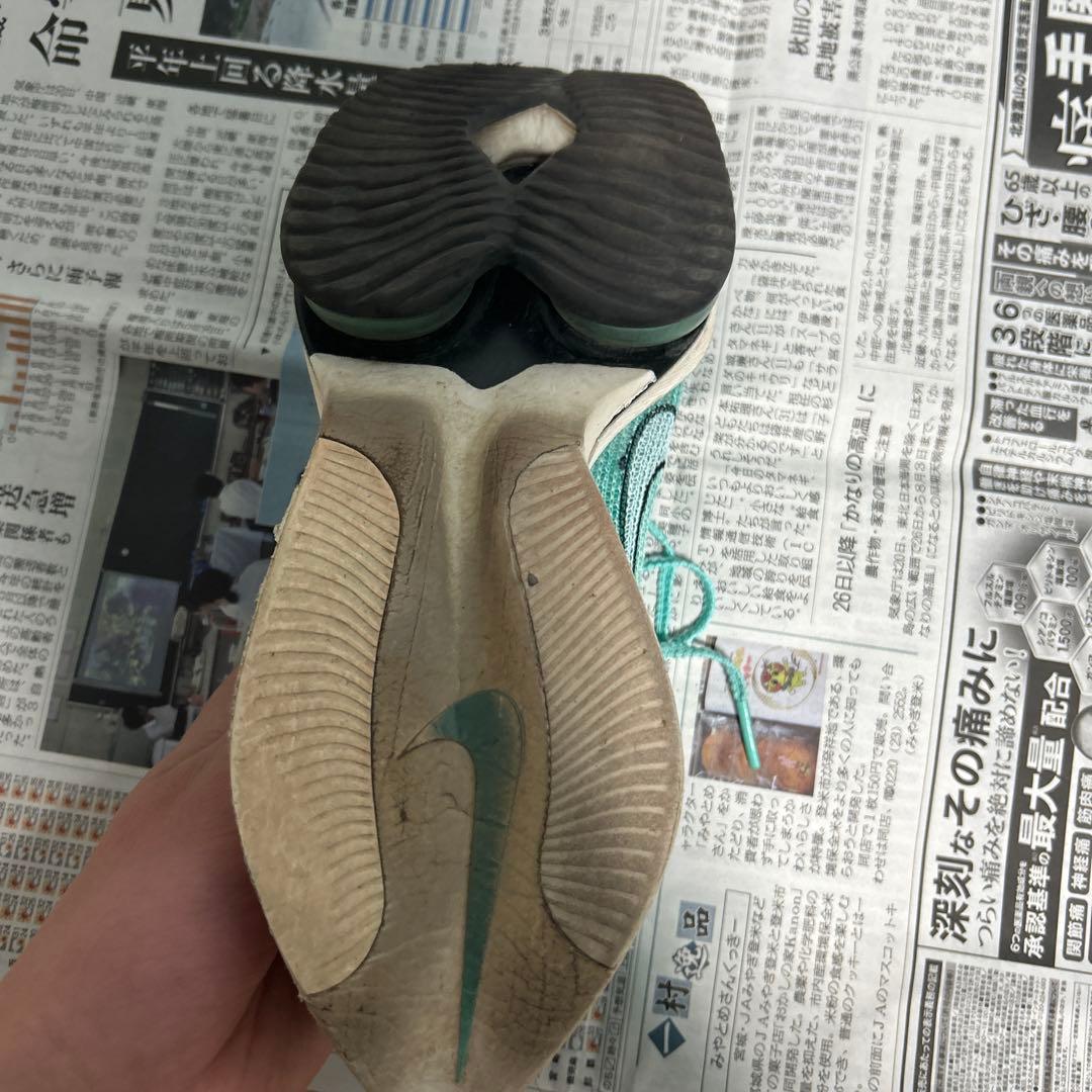アルファフライ1