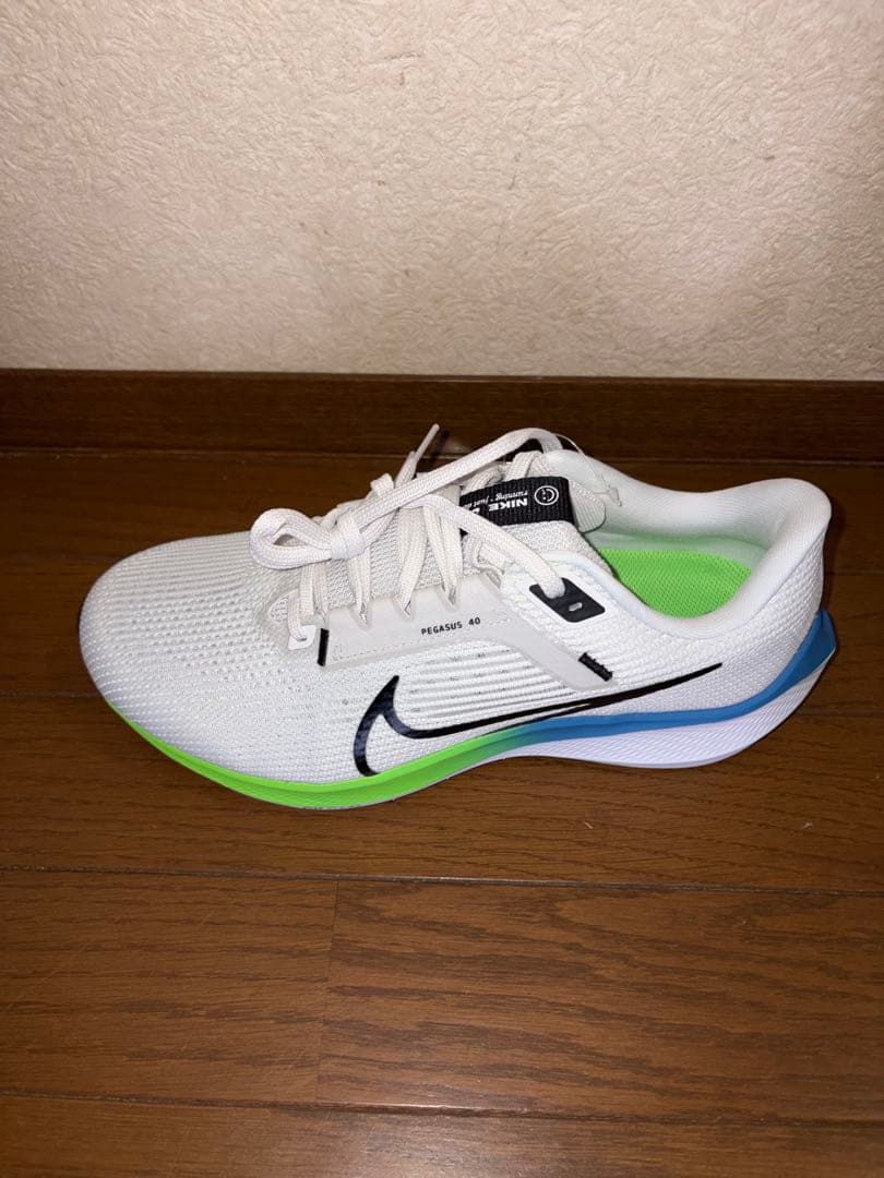 NIKEペガサス40ワイド