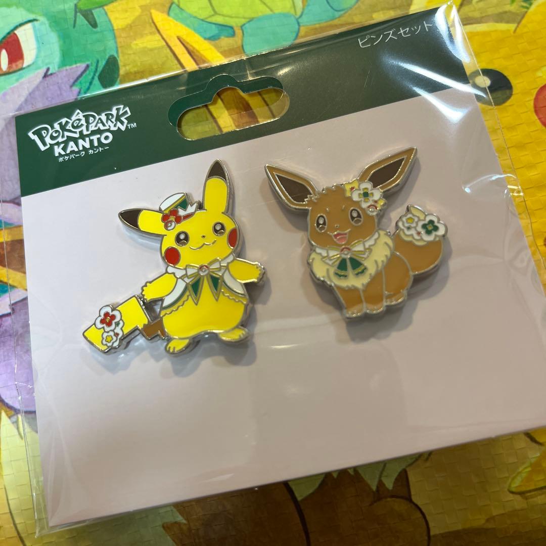 【限定】ポケパーク　カントー　ピンバッジ　キーホルダーセット