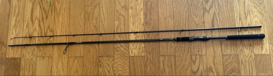 ダイワラブラックス ags96m DAIWA