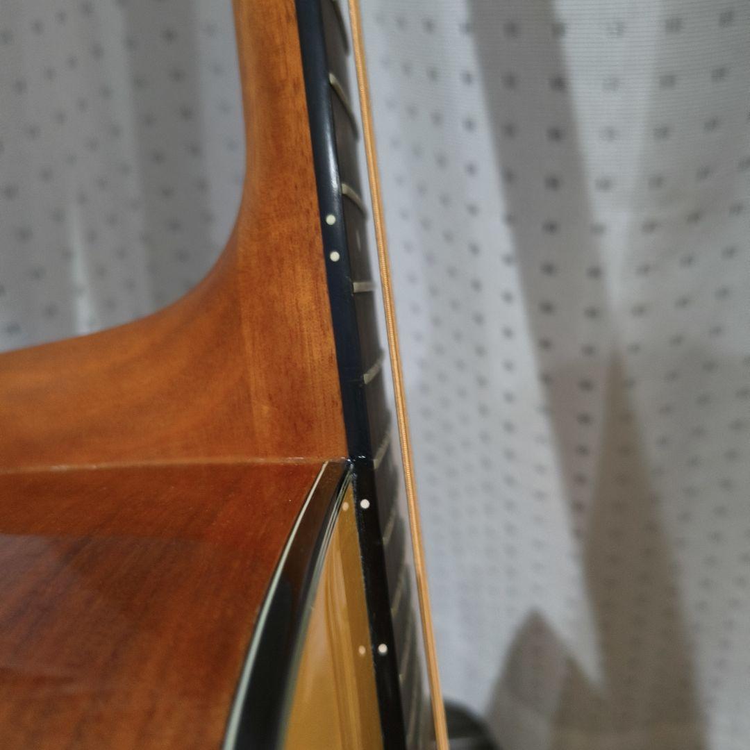 Morris MB-12Ⅱ NAT 12弦 アコースティックギター