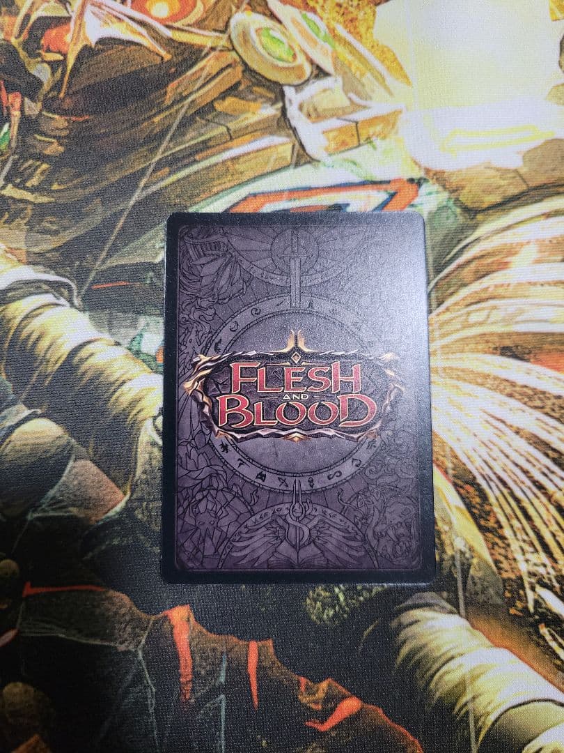 公正の守護 FLESH AND BLOOD Balance of justice