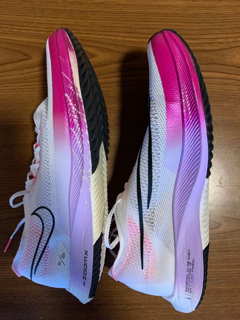 ナイキ ストリークフライ 29cm