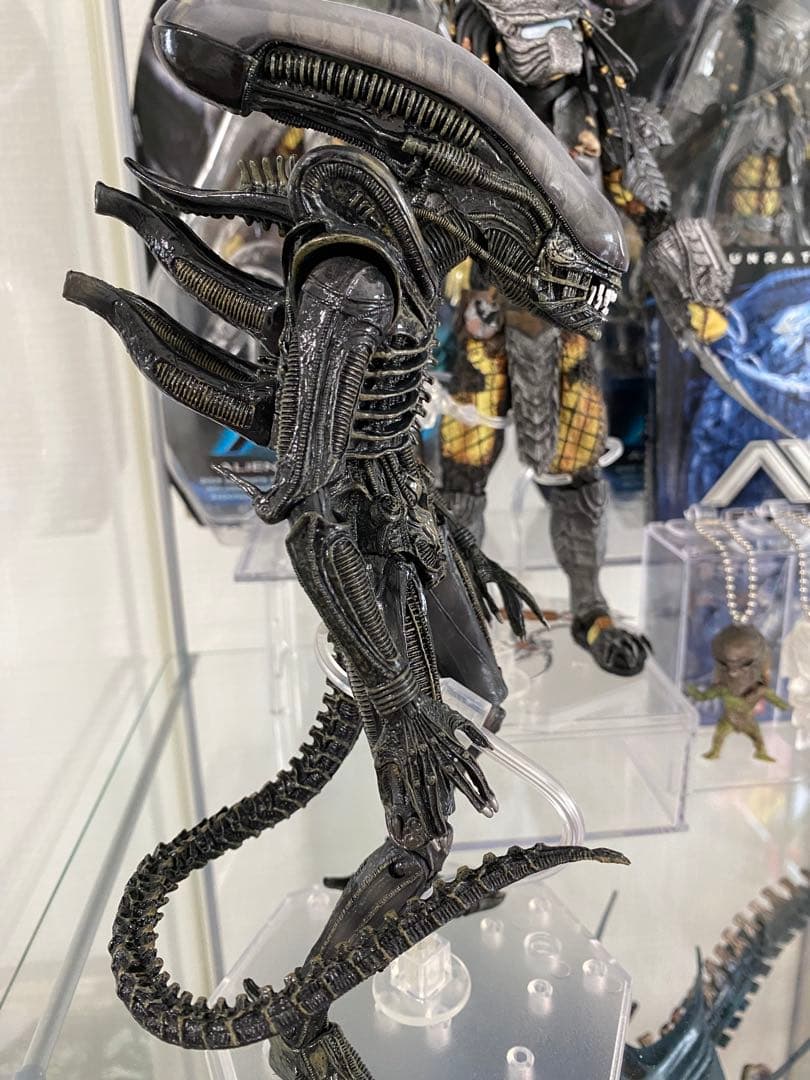 ネカ NECA エイリアン ビッグチャップ アルティメット 40th プレデター