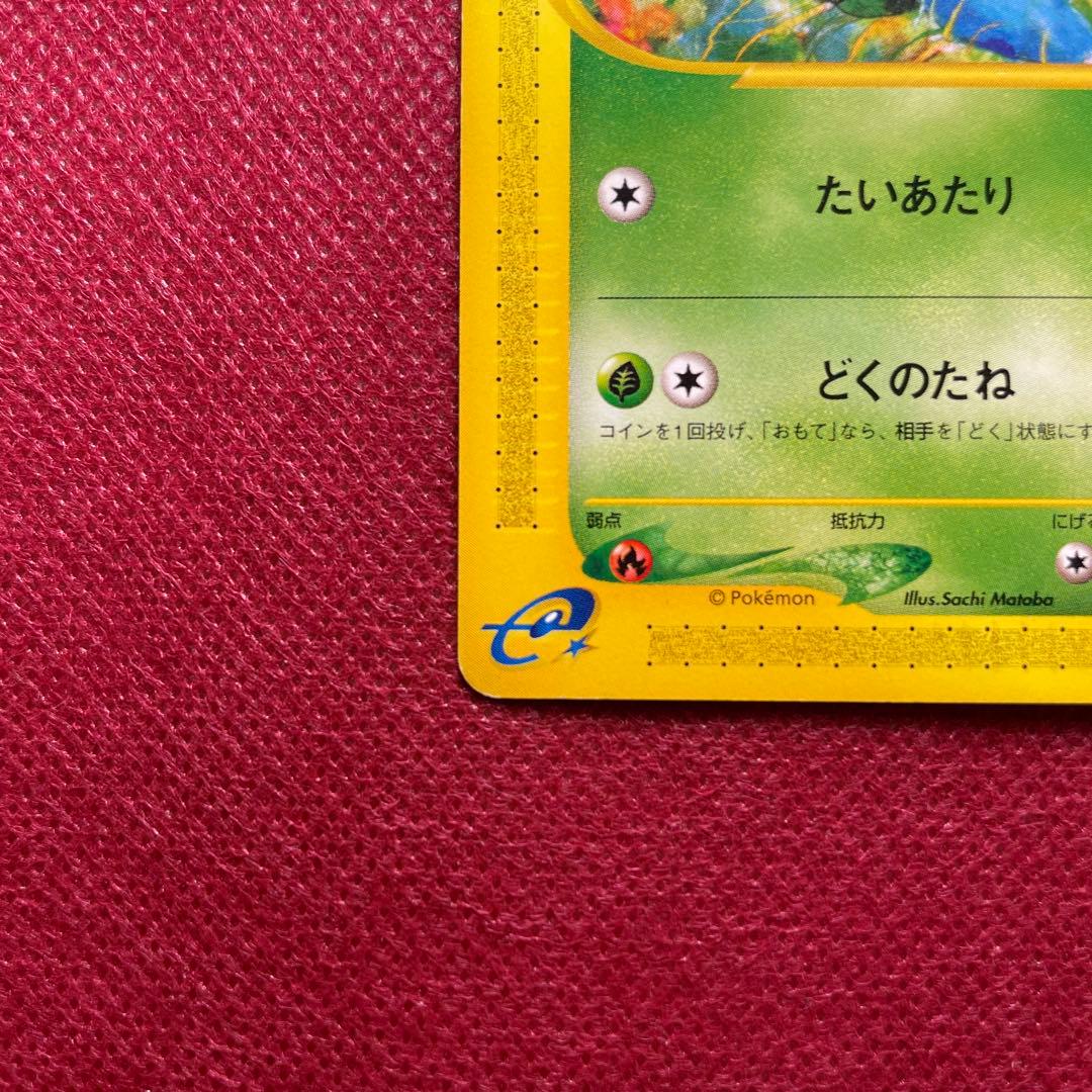 フシギダネ スターターパック 001/029 eカード 1ED