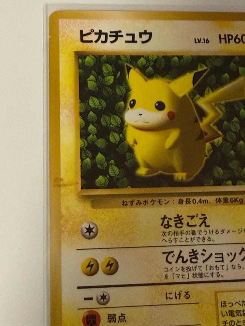 ピカチュウ 旧裏 誤表記 プロモ　ken sugimori