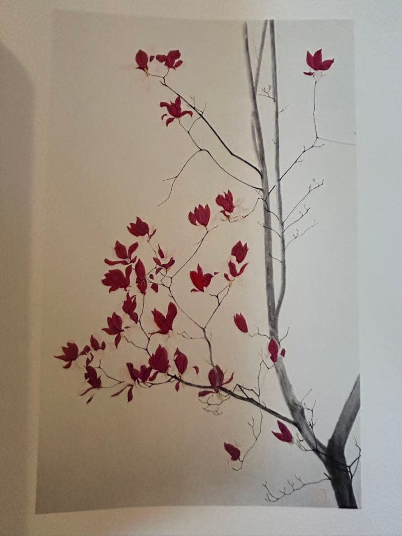 草木譜 清野茂花 水墨画集