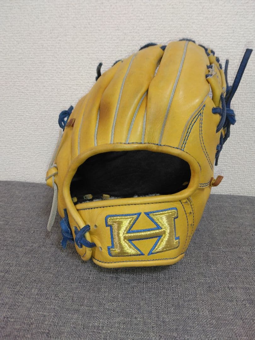 ハイゴールド硬式内野 技極プロフェッショナル