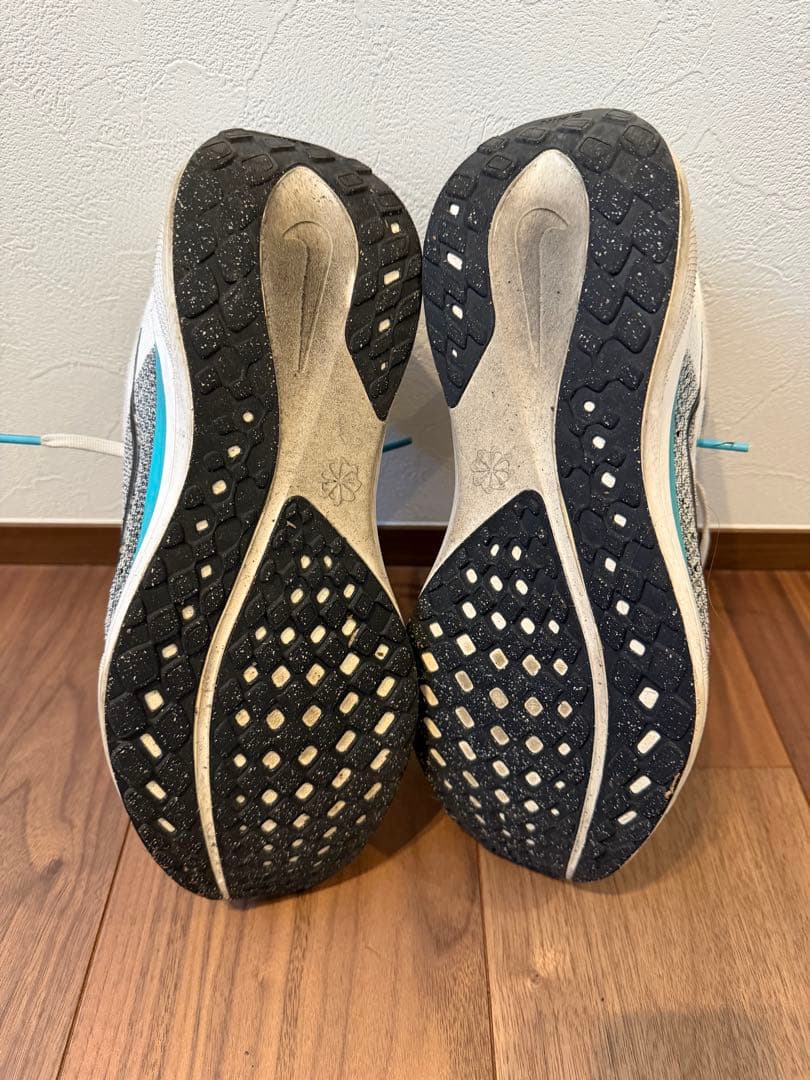 スパイク・シューズ nike Pegasus41