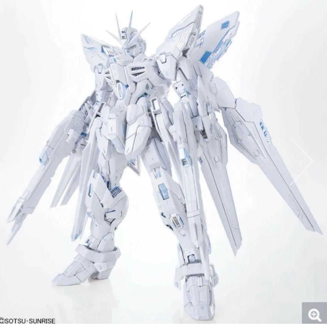 新品　MGEX ストライクフリーダムガンダム TWILIGHT COATING