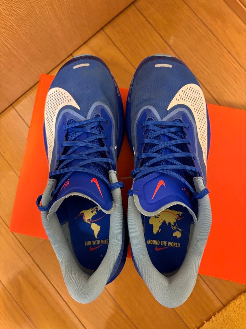 Nike Zoom FLY 6 ナイキズームフライ6 26.0cm