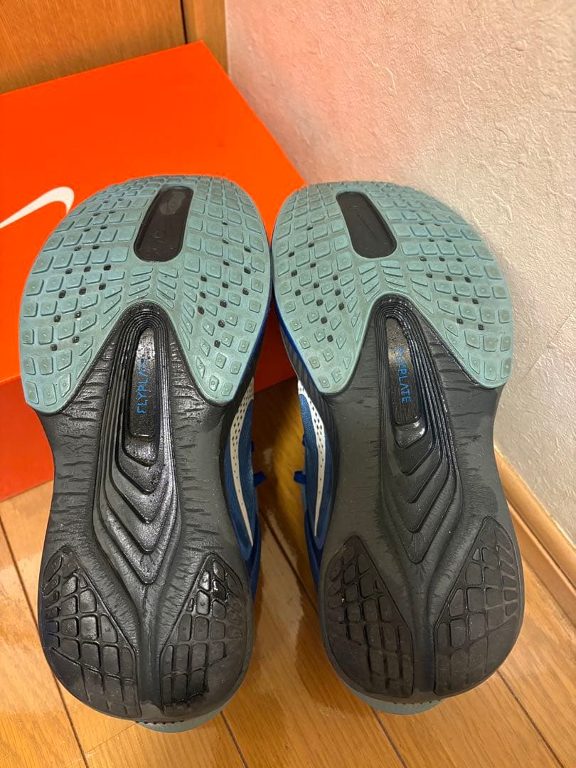 Nike Zoom FLY 6 ナイキズームフライ6 26.0cm