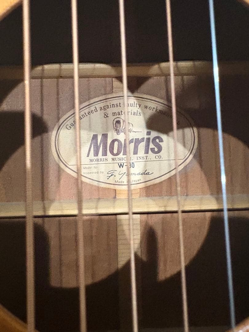 Morris W-30 モーリス　アコースティックギター
