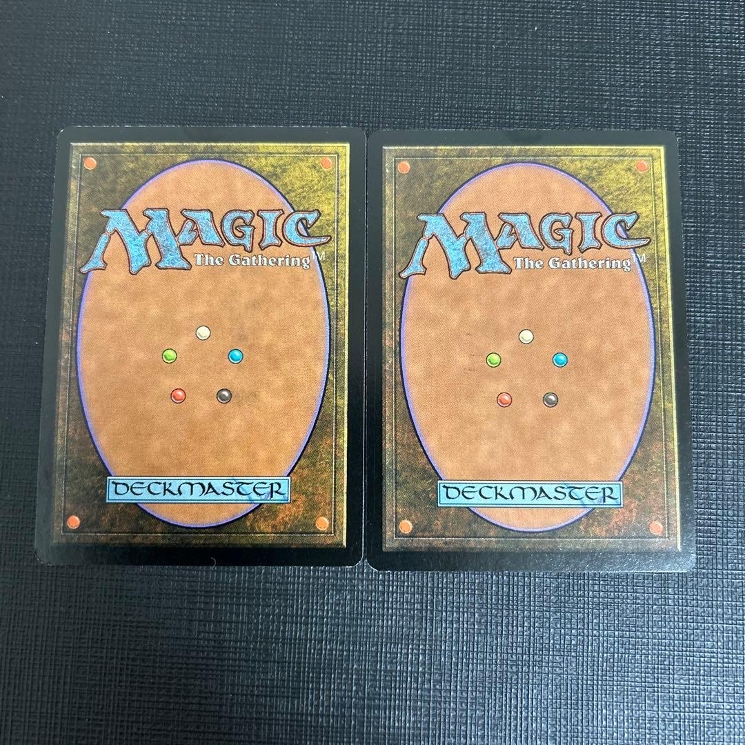 MTG 中国語 三国志 レア 2枚