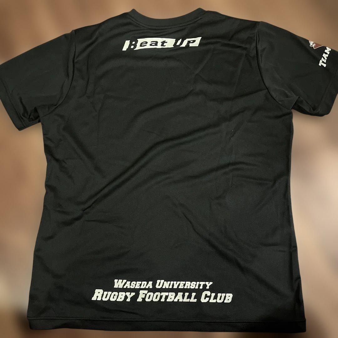 早稲田 ラグビー Tシャツ