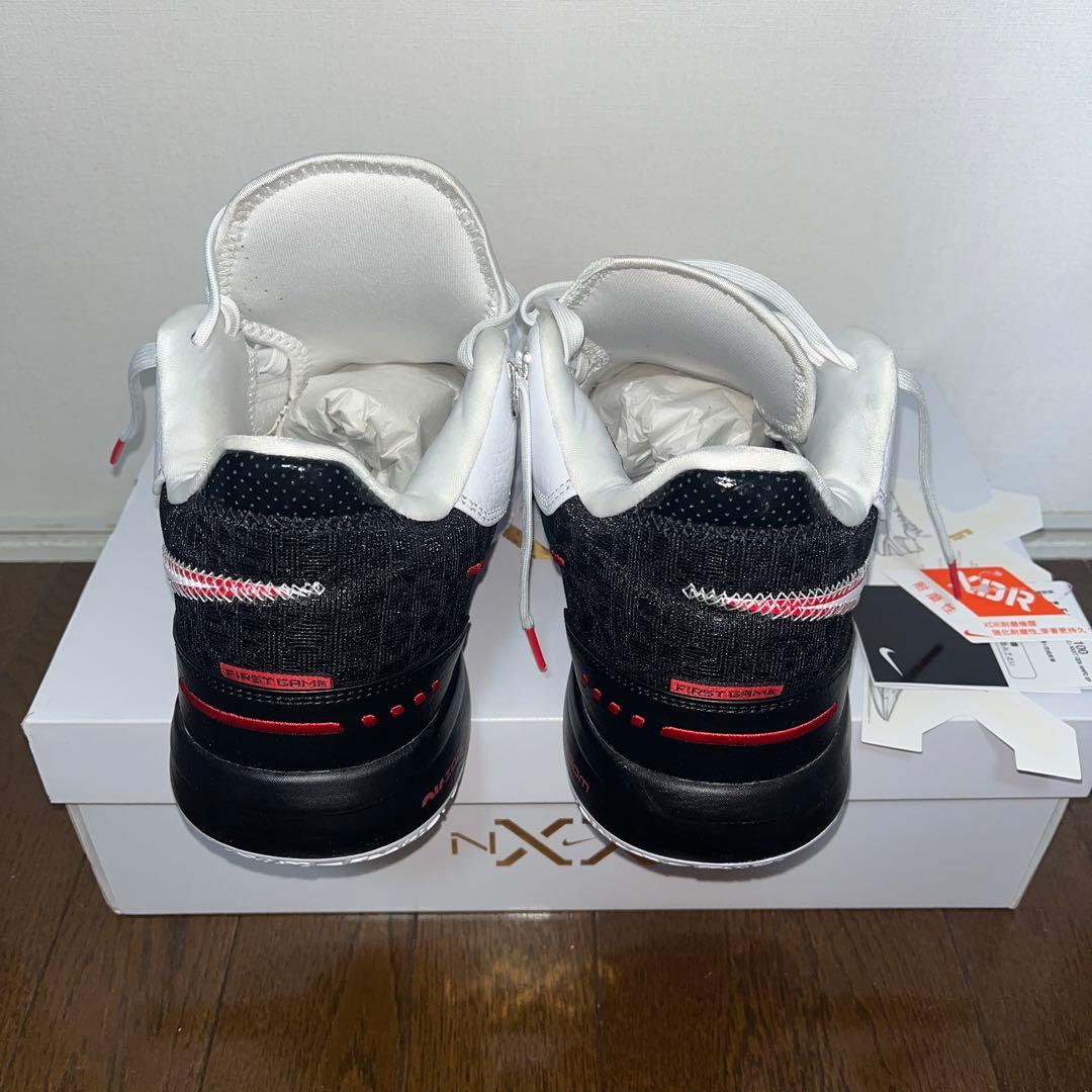 LEBRON NXXT GEN AMPD EP レブロン　ナイキ