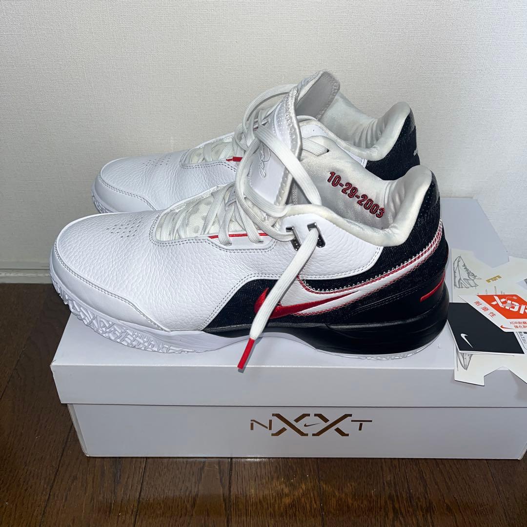 LEBRON NXXT GEN AMPD EP レブロン　ナイキ