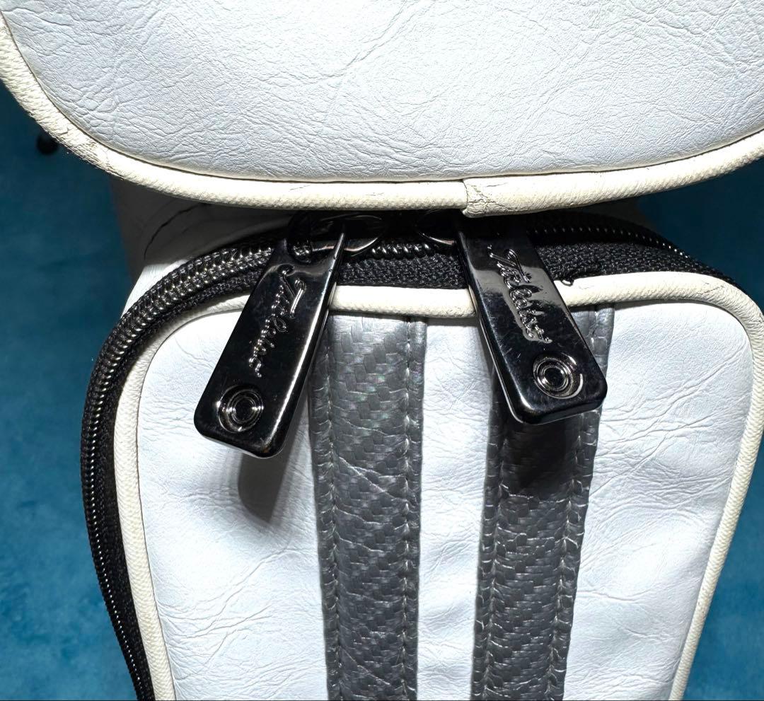 Titleist タイトリスト PUレザー セルフスタンド 日本正規品 おまけ付