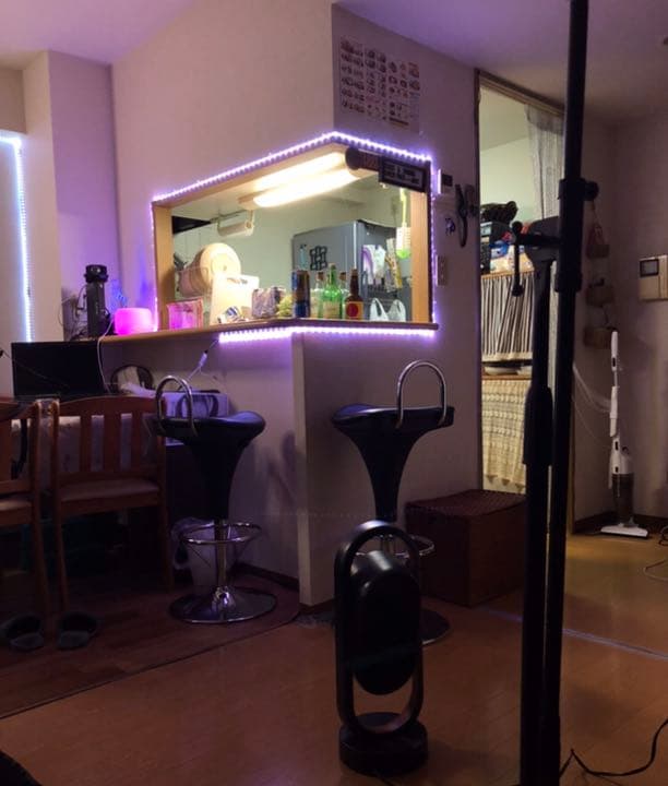 LEDテープライト スマホ制御 10m×２本