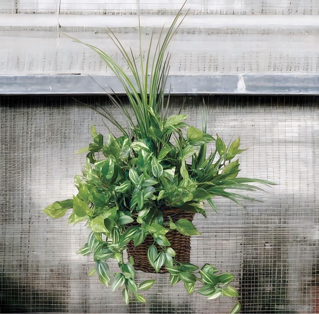光触媒　人工観葉植物　ウォールグリーン　フェイクグリーン　壁掛ナチュラルグラス