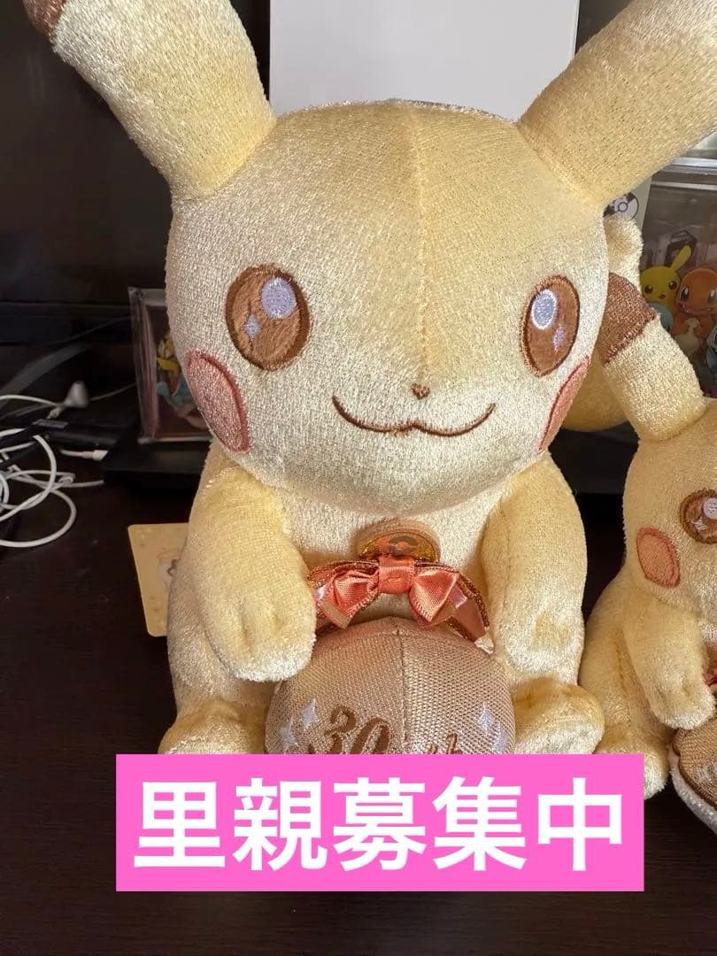 【大事にしてくれる方限定】ポケモン30周年記念 セット
