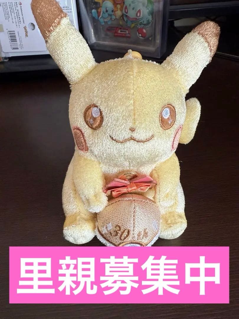 【大事にしてくれる方限定】ポケモン30周年記念 セット