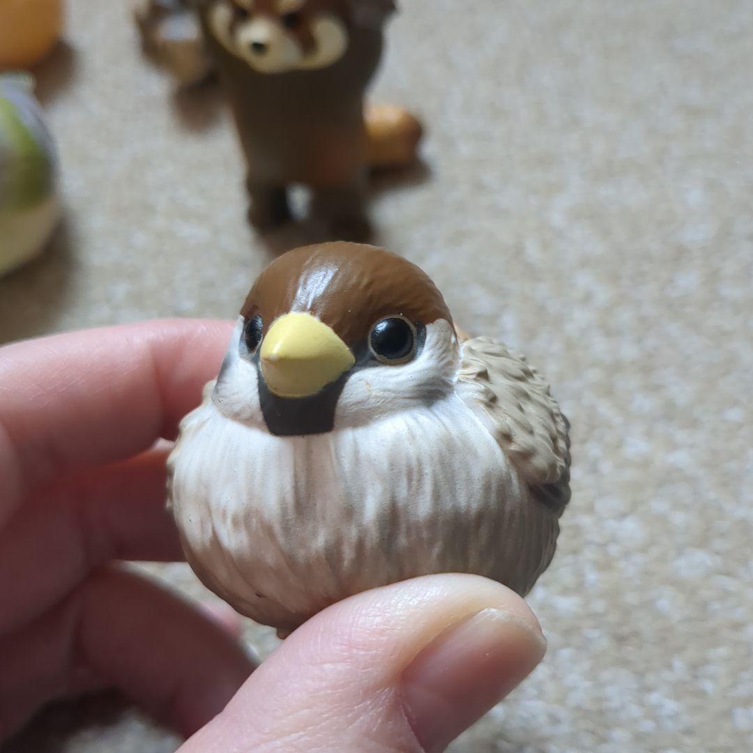 てのりフレンズ リクガメ レッサーパンダ すずめ バラ売りあり