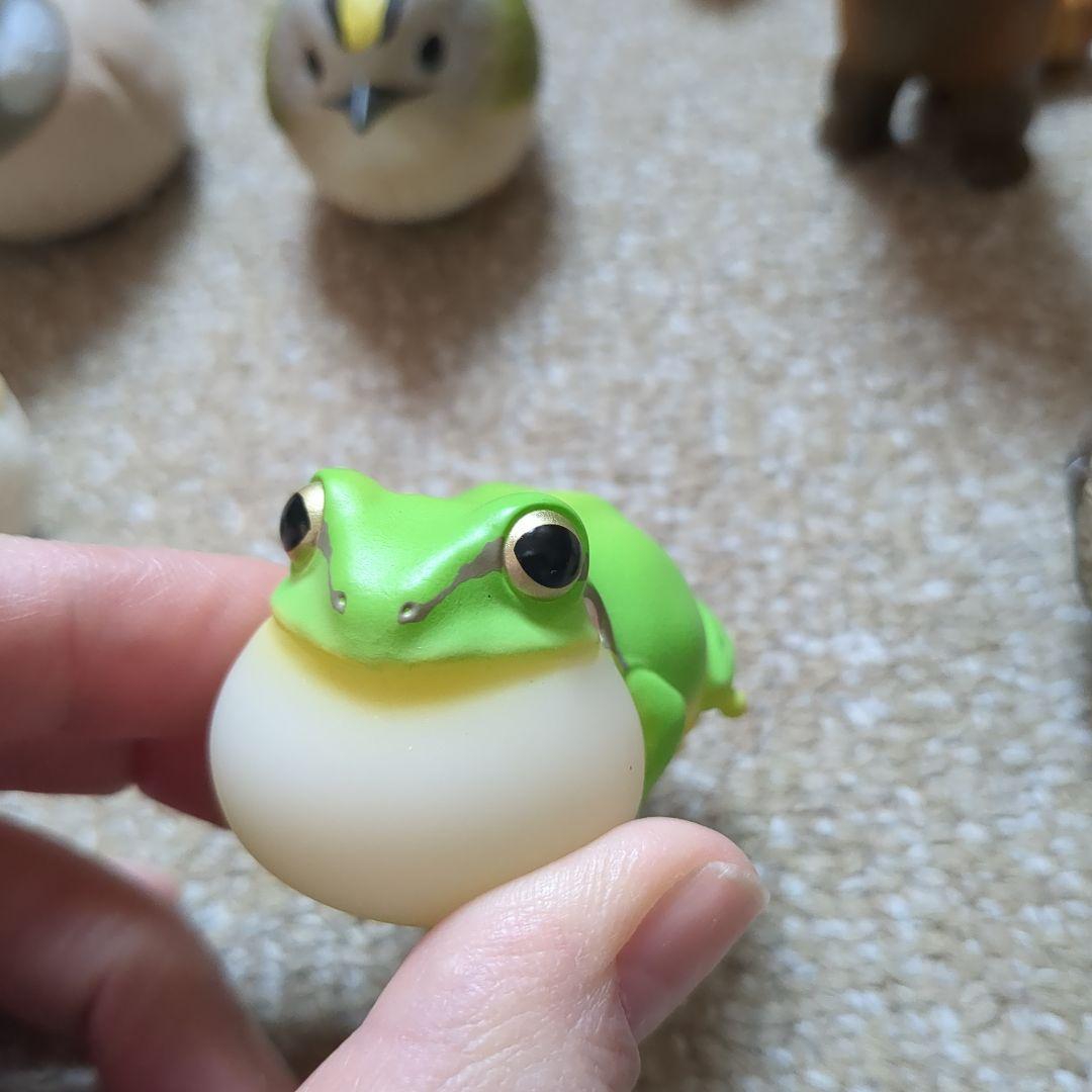 てのりフレンズ リクガメ レッサーパンダ すずめ バラ売りあり